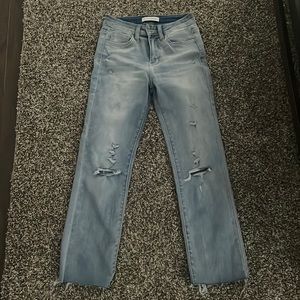 Flying monkey Denim